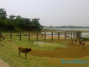 Land for sale in Sunamganj