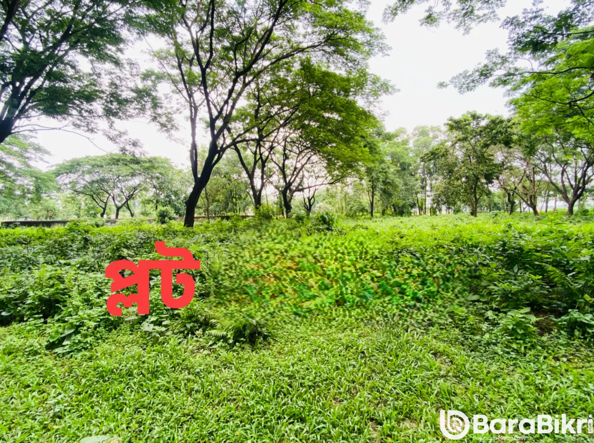 "Navana Real Estate Kashimpur