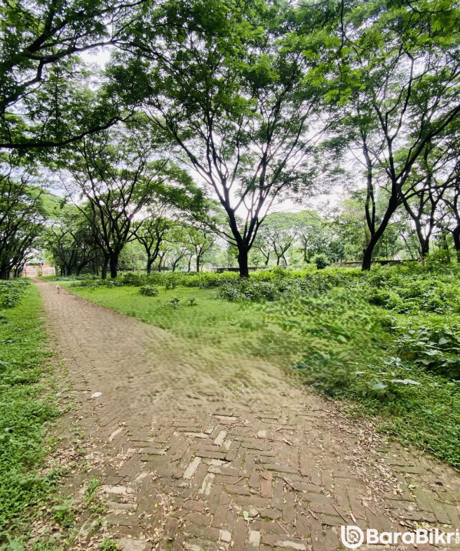 Plots for sale in Surabari Gazipu