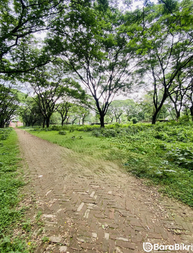 Plots for sale in Surabari Gazipu