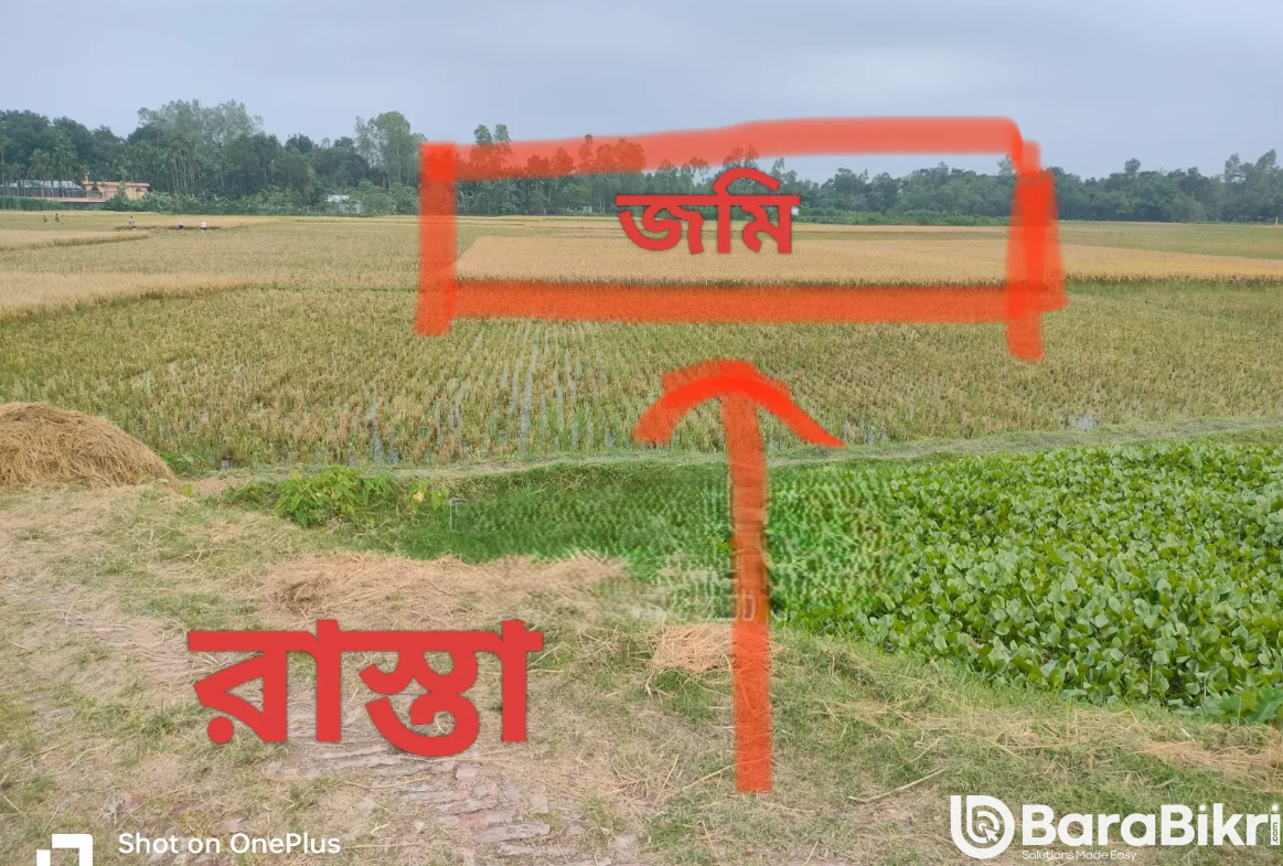 Agricultural land for sale in Rangpur