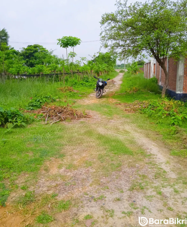 Large plots near Purbachal border