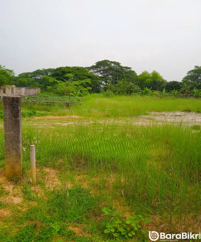 Ready land filled plots under 50 Lakh per katha
