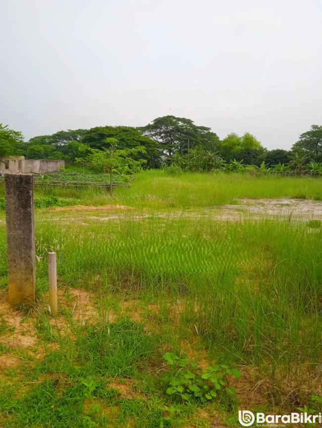 Ready land filled plots under 50 Lakh per katha