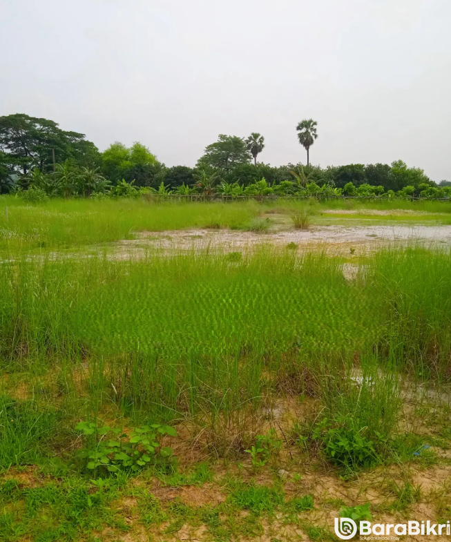 Lake view commercial land Dhaka