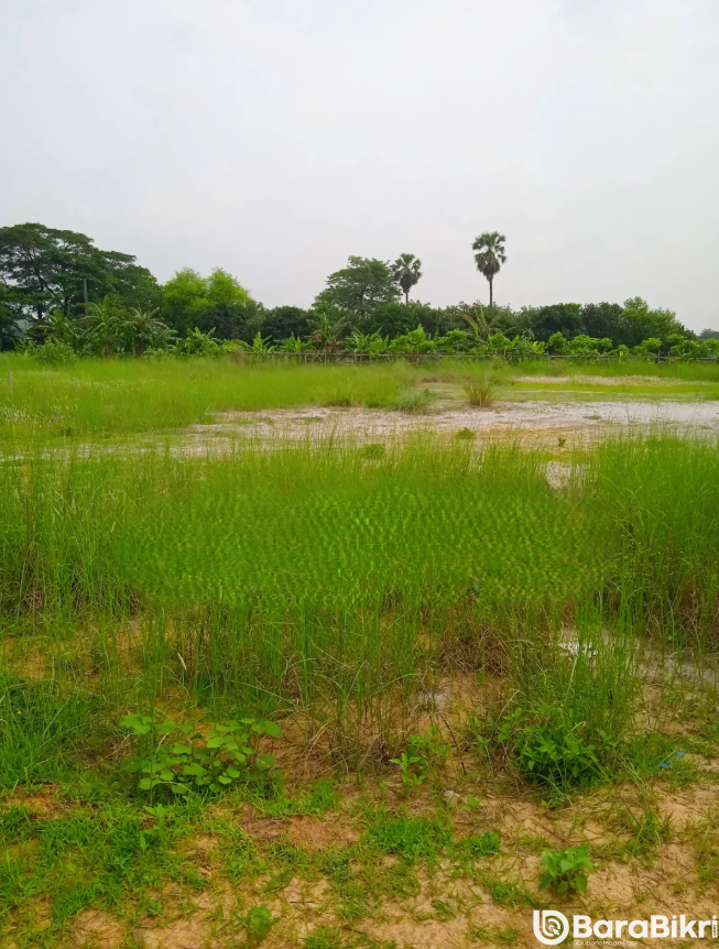 Lake view commercial land Dhaka