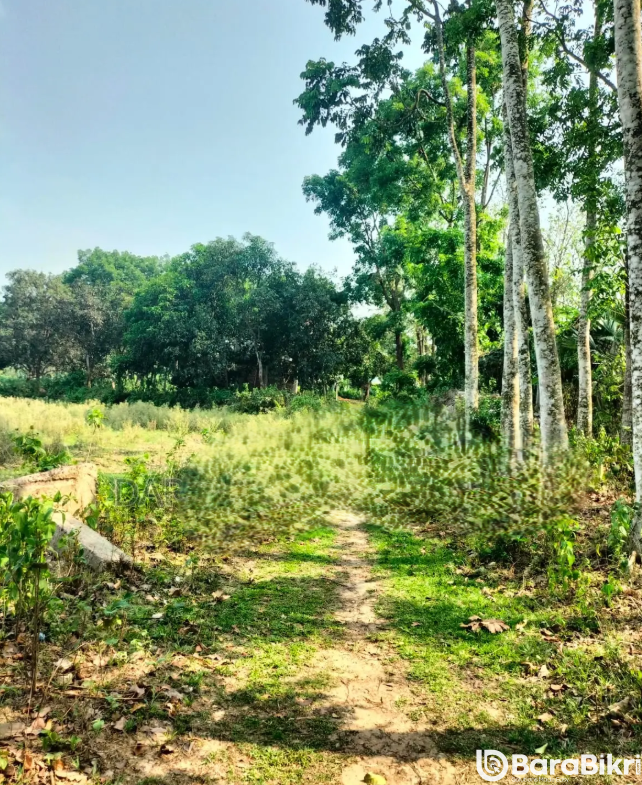 Industrial land for sale in Maona Gazipur