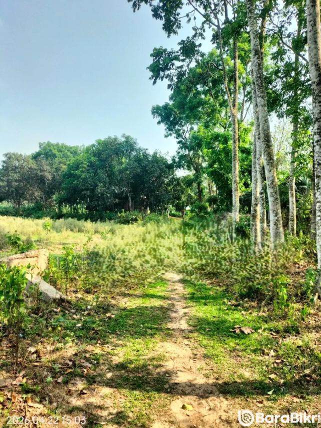 Industrial land for sale in Maona Gazipur