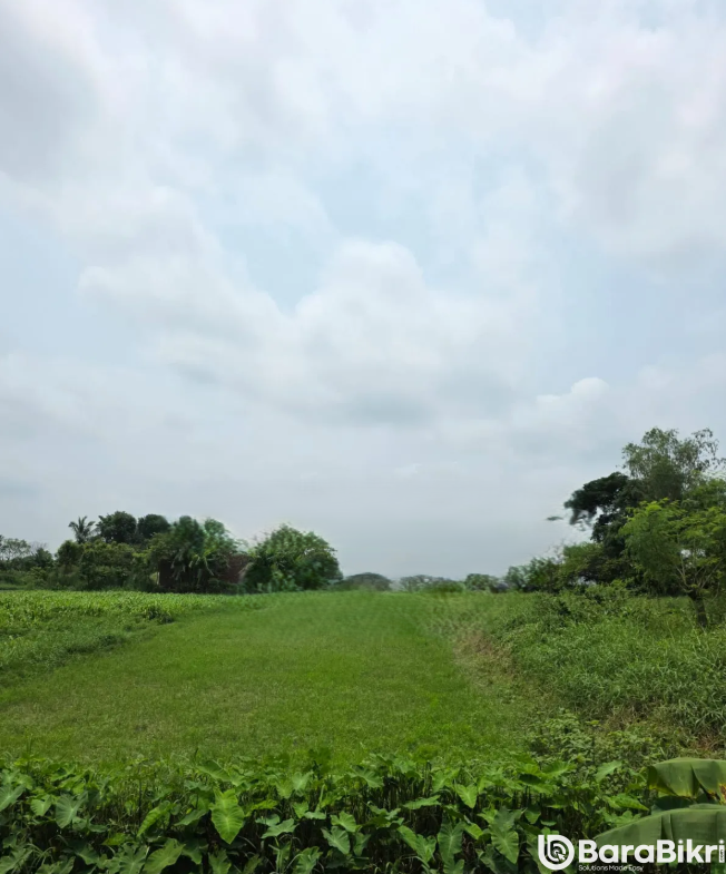 Plot for restaurant investment in Munshiganj