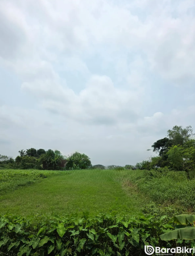 Plot for restaurant investment in Munshiganj