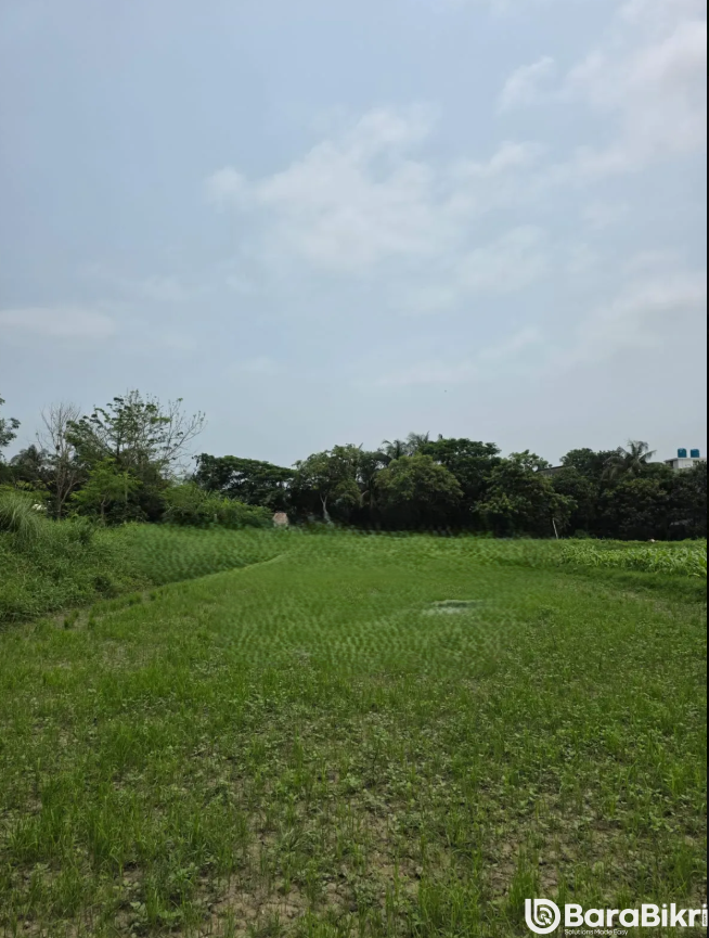 Land for sale in Sirajdikhan Munshiganj