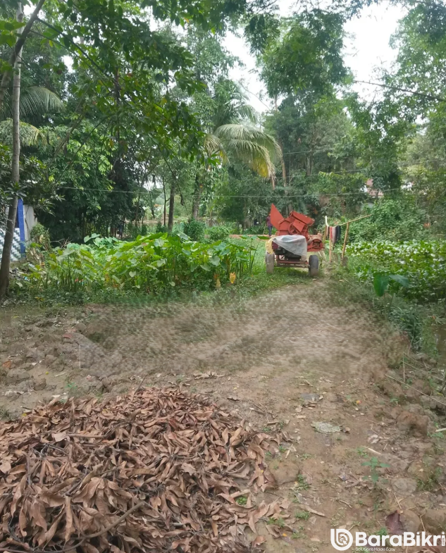 Land for sale in Golapganj Sylhet