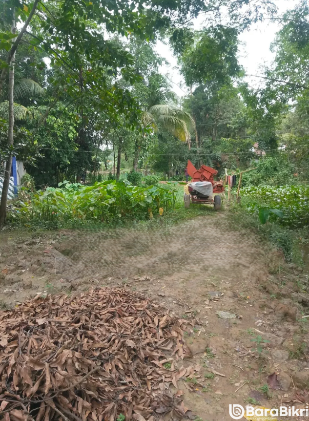 Land for sale in Golapganj Sylhet