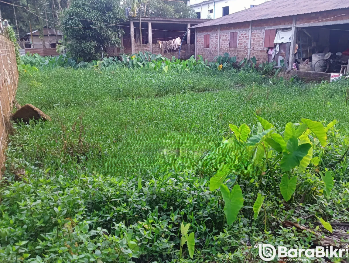 Freehold main road land near Syedpur Mosque