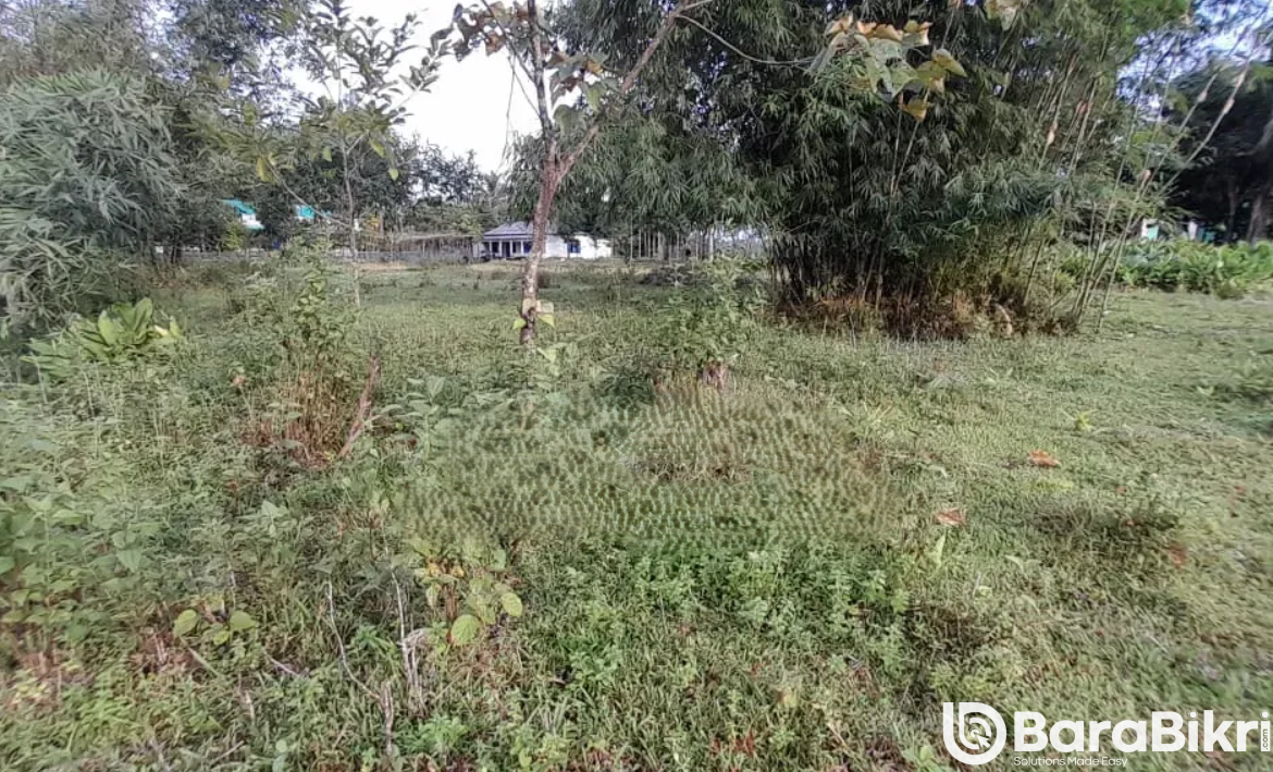 Kalagul mouja plot sale Sylhet