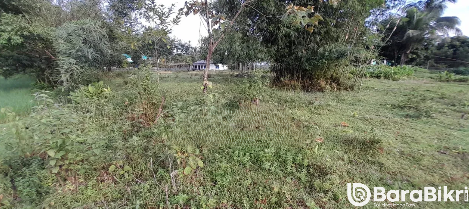 Kalagul mouja plot sale Sylhet