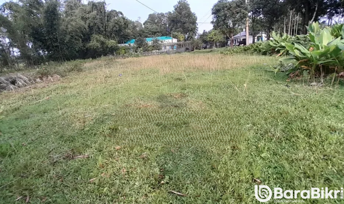 Property near Treetop Adventure Farm Sylhet