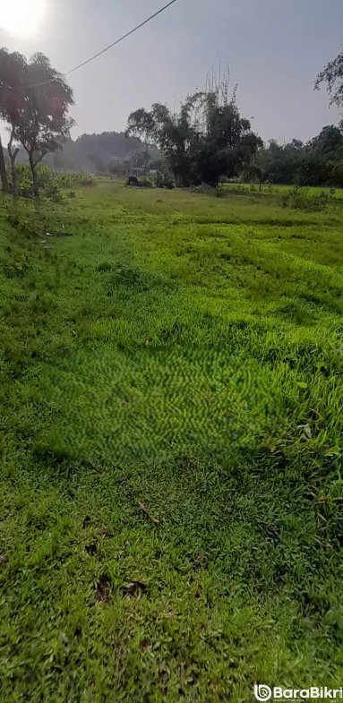 Property near Treetop Adventure Farm Sylhet