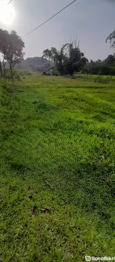 Property near Treetop Adventure Farm Sylhet