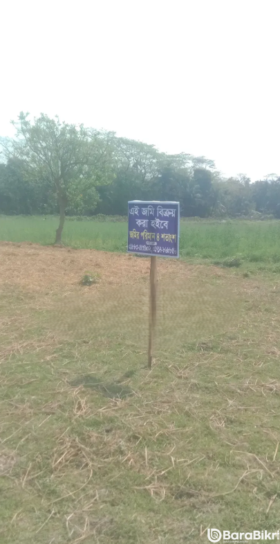 4 Katha plot for sale in Charfasson Municipality