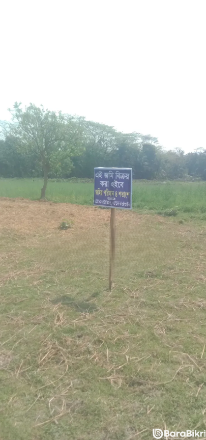 4 Katha plot for sale in Charfasson Municipality