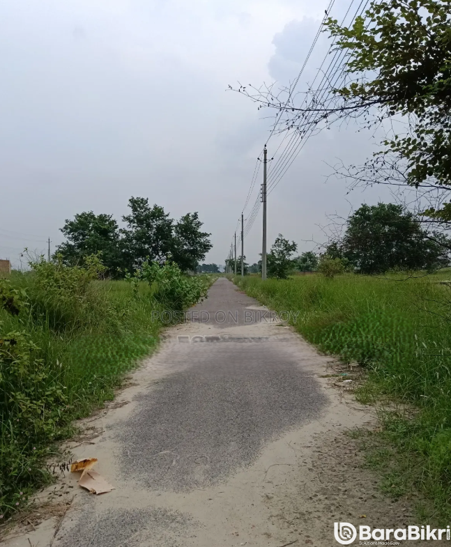 Plots for sale in Bashundhara Block P