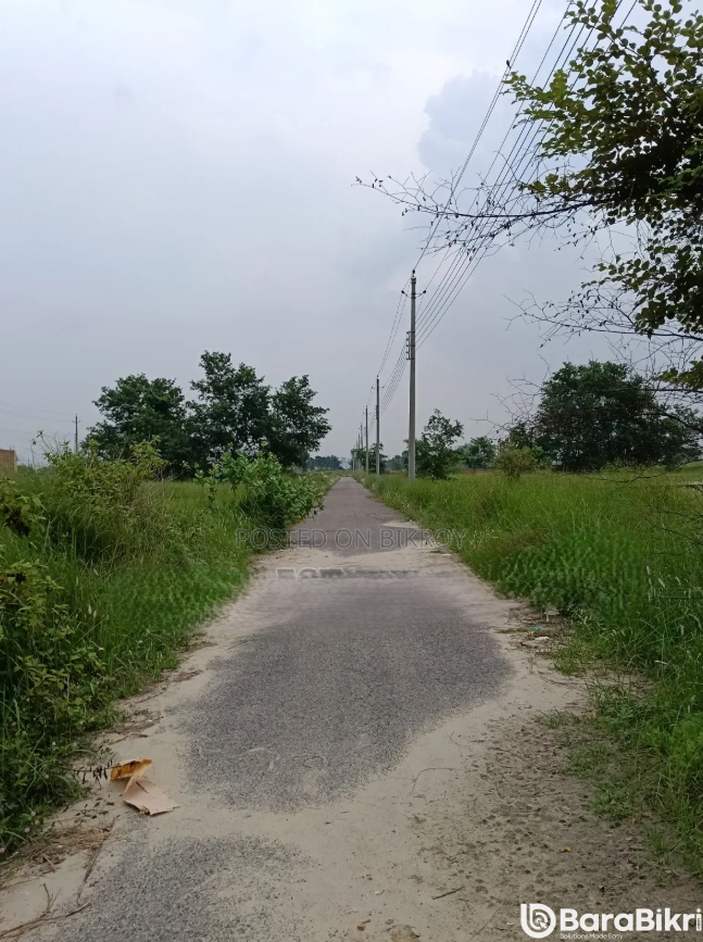 Plots for sale in Bashundhara Block P