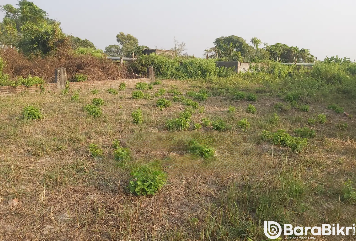 Sunrise Rose Garden Shatarkool plot share