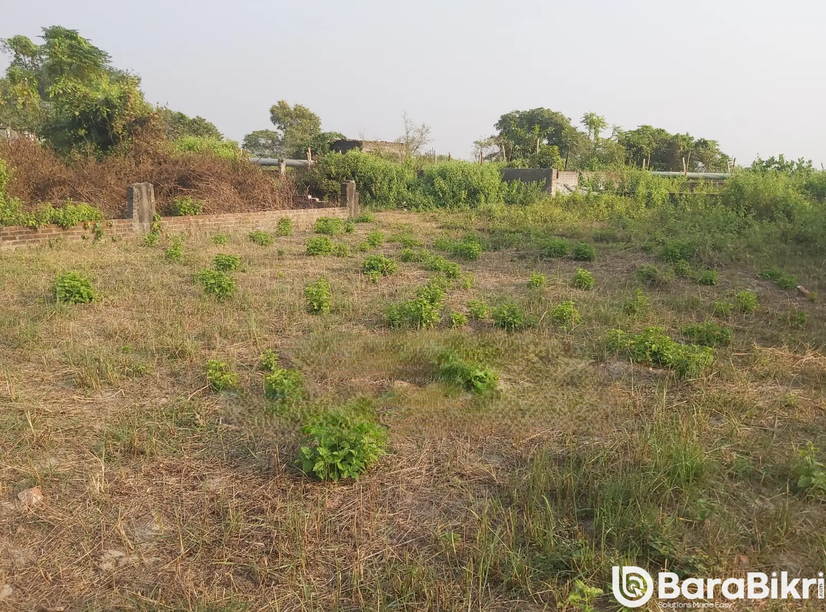 Sunrise Rose Garden Shatarkool plot share