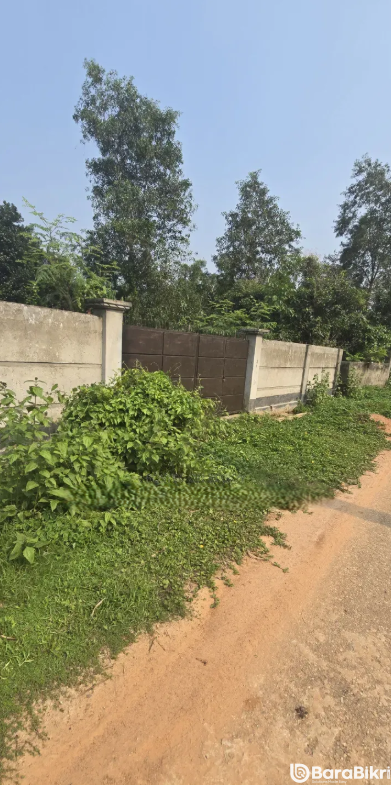 Business category allotted plot Purbachal