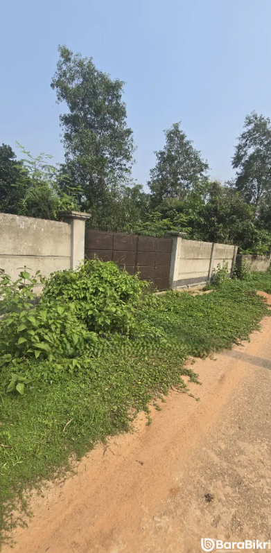 Business category allotted plot Purbachal
