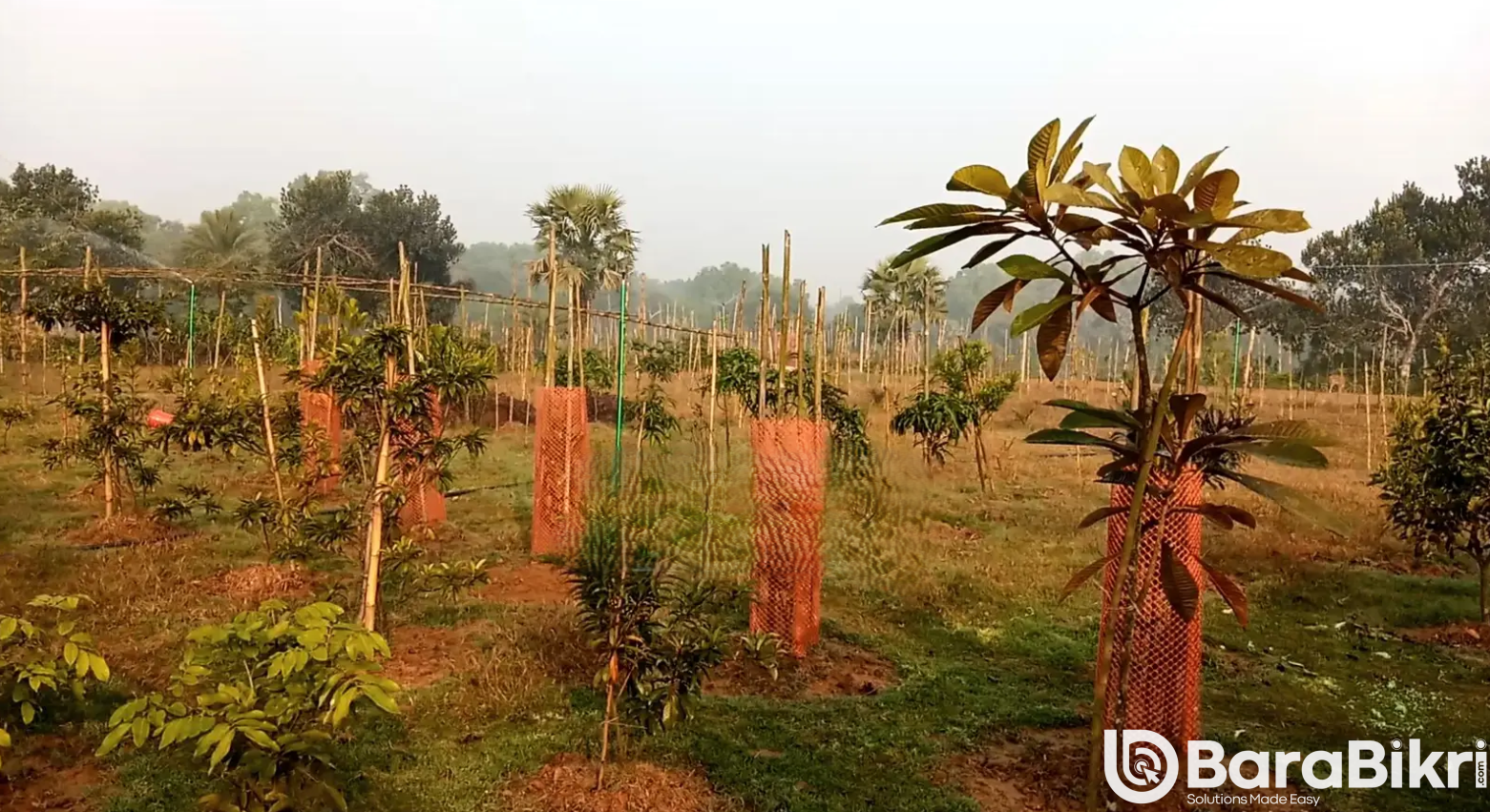 Traditional wooden house with land Munshiganj